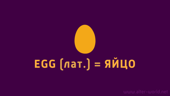 egg - яйцо
